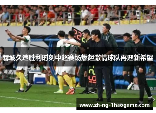 蓉城久违胜利时刻中超赛场燃起激情球队再迎新希望 蓉城久违胜利时刻中超赛场燃起激情球队再迎新希望