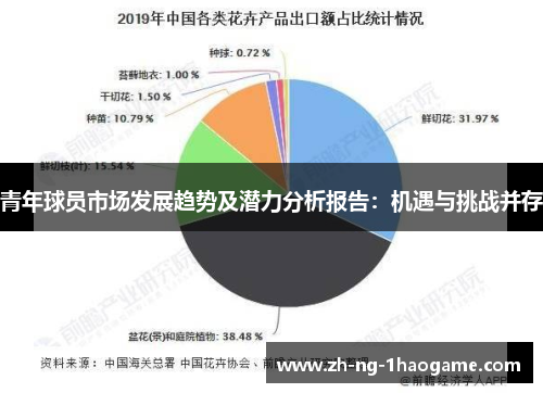 青年球员市场发展趋势及潜力分析报告:机遇与挑战并存 青年球员市场发展趋势及潜力分析报告:机遇与挑战并存